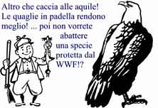 A caccia di acquile!
