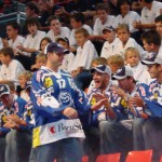 Domenichelli