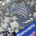 CollezioneBiancoblu