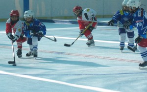 ANNUNTIO VOBIS GAUDIUM MAGNUM