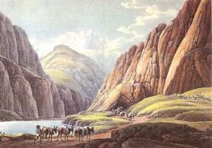 “ SAVE-DOMENICHELLI”