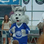 presentazione 2008 hcap