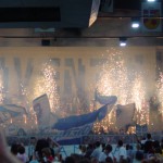 presentazione 2008 hcap