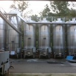 Verticale Biancoblù - Angelo Delea