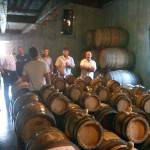 Verticale Biancoblù - Angelo Delea