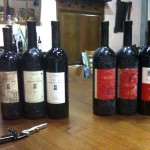 Verticale Biancoblù - Angelo Delea