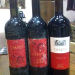 Verticale Biancoblù - Angelo Delea