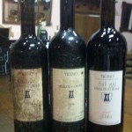 Verticale Biancoblù - Angelo Delea