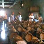 Verticale Biancoblù - Angelo Delea