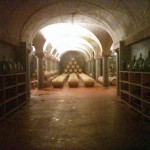 Verticale Biancoblù - Angelo Delea