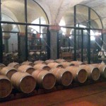 Verticale Biancoblù - Angelo Delea