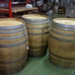 Verticale Biancoblù - Angelo Delea