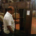 Verticale Biancoblù - Angelo Delea