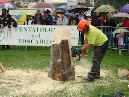 Pentathlon del boscaiolo 2013