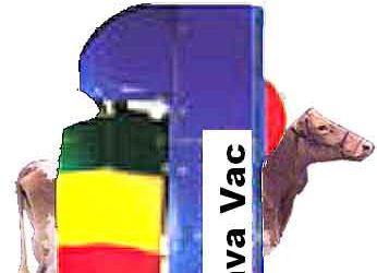 Il LAVA-VAC
