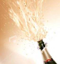 Bicchierata del Fans Club BL15