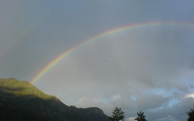 Un arcobaleno bene augurante…